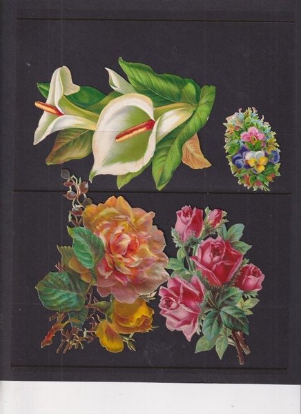 galleryimage 3