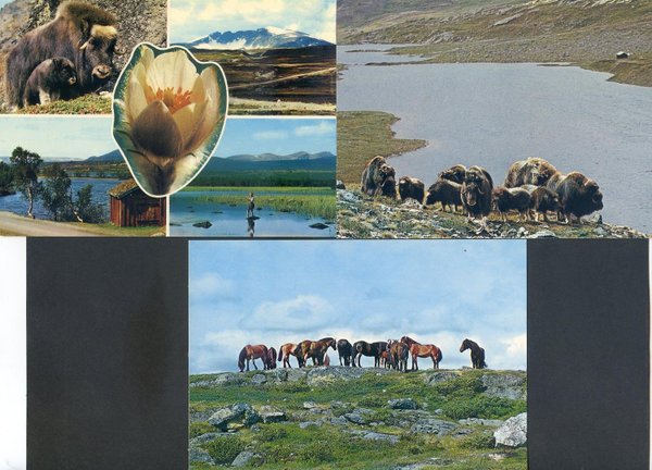 galleryimage 3