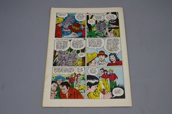 galleryimage 2