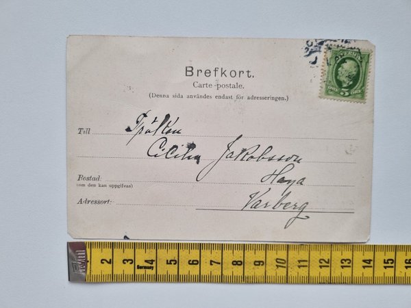 galleryimage 2 zoomed in