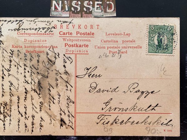 galleryimage 2 zoomed in