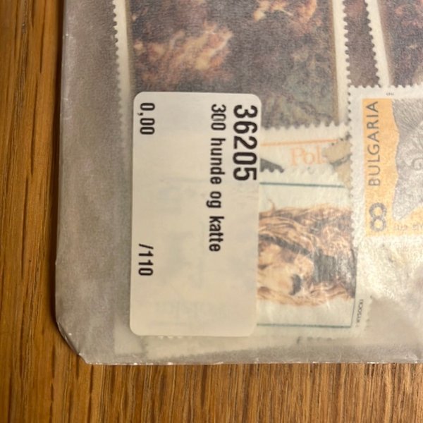 galleryimage 2 zoomed in