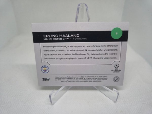 galleryimage 2 zoomed in