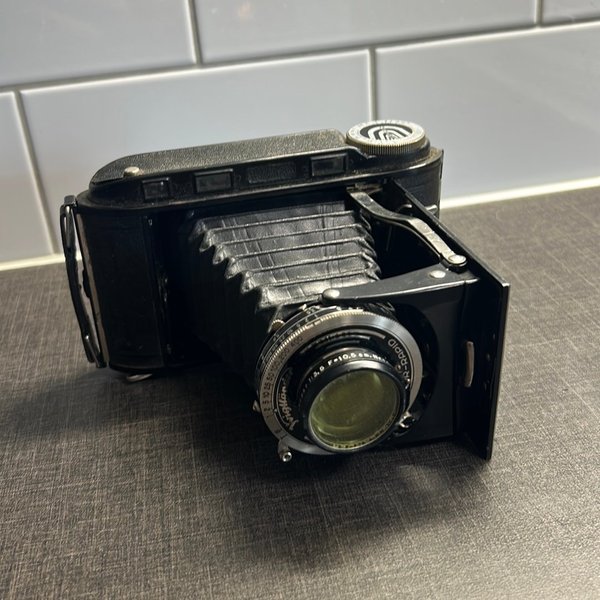 galleryimage 2
