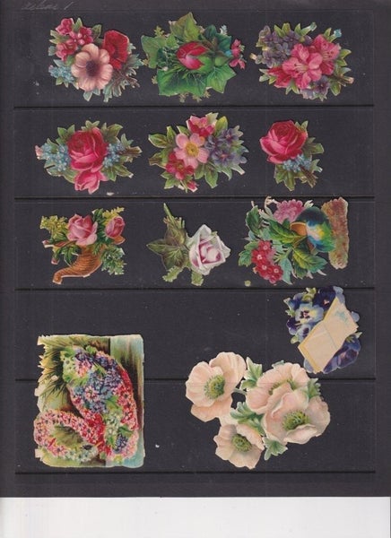galleryimage 3