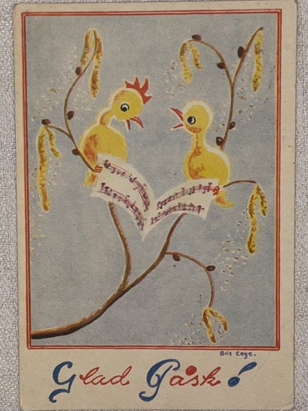 galleryimage 3