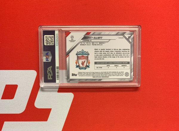 galleryimage 2 zoomed in