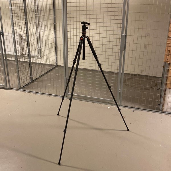 galleryimage 3