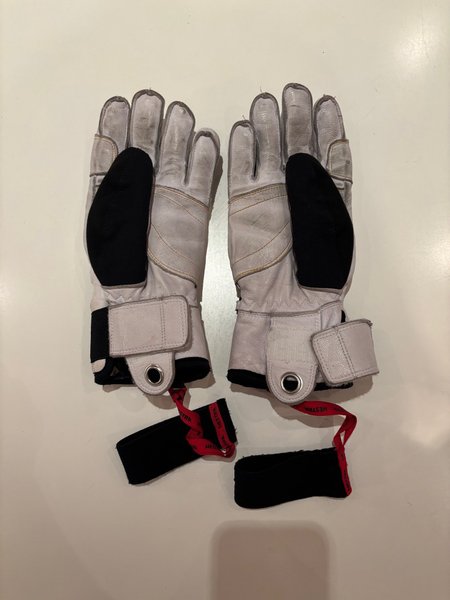 galleryimage 2 zoomed in