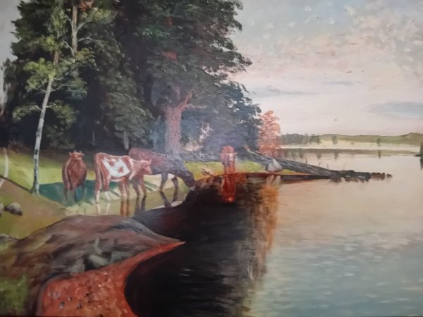 galleryimage 2