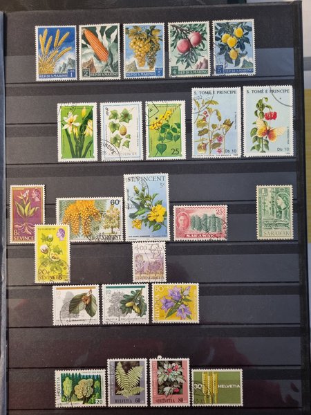 galleryimage 2 zoomed in