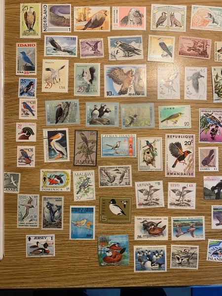 galleryimage 3
