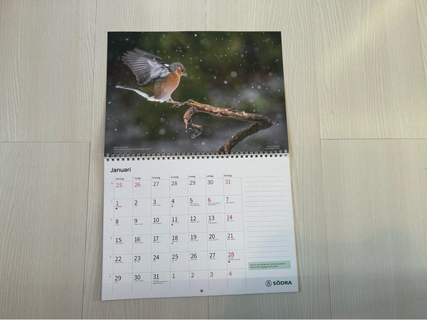 galleryimage 3