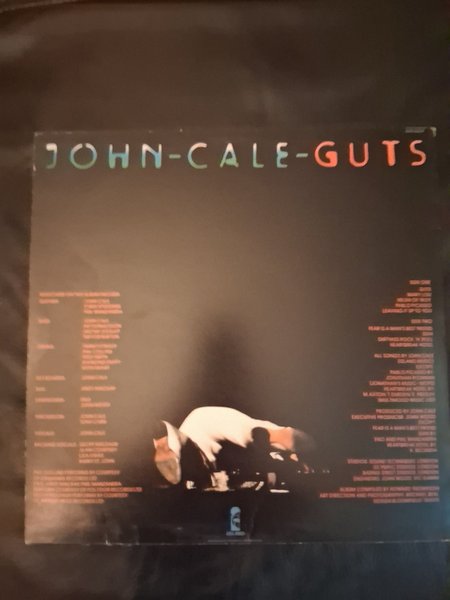 galleryimage 2 zoomed in