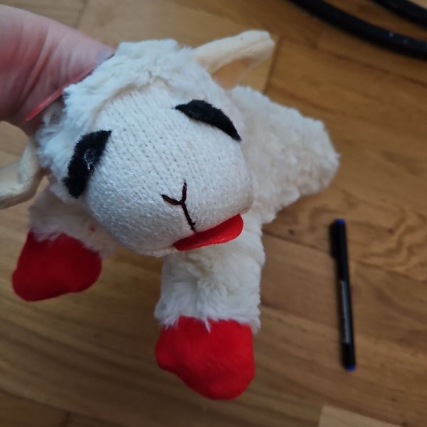 galleryimage 2 zoomed in