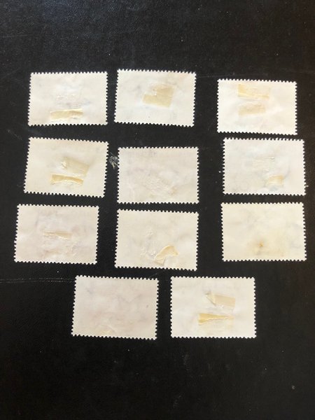 galleryimage 2 zoomed in