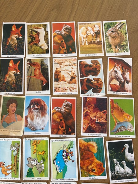 galleryimage 3