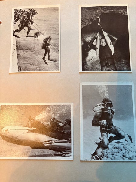 galleryimage 3