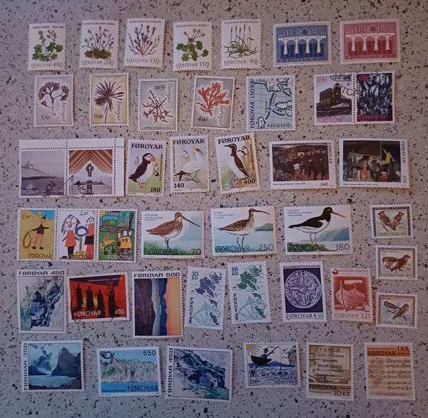 galleryimage 2