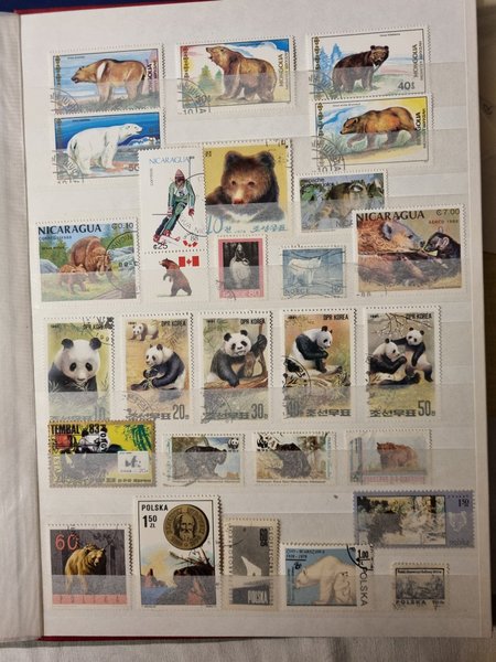 galleryimage 2 zoomed in