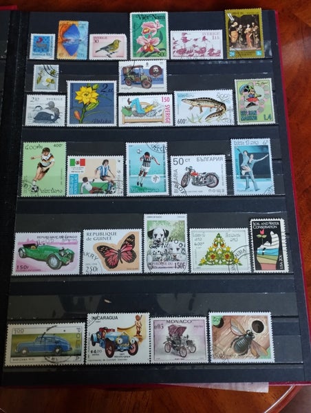 galleryimage 2