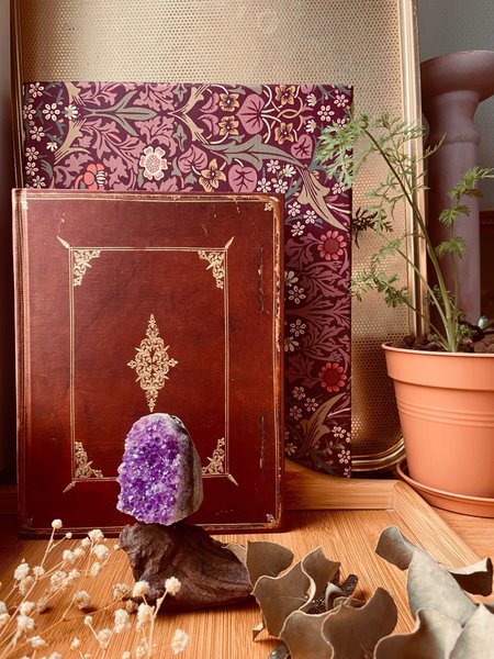 galleryimage 2