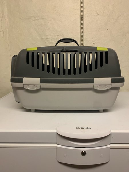 galleryimage 2 zoomed in