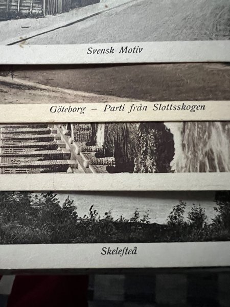 galleryimage 2