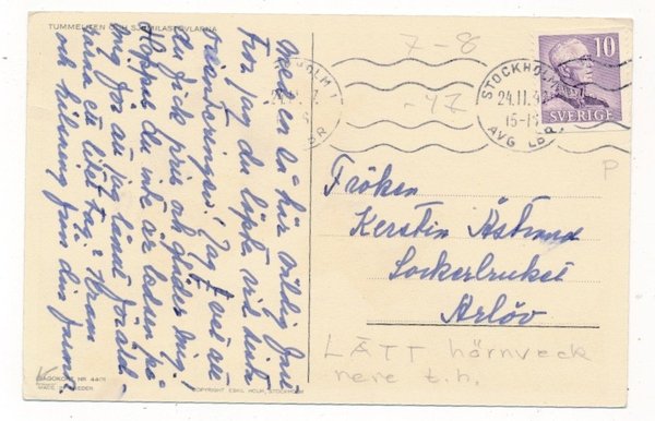 galleryimage 2 zoomed in