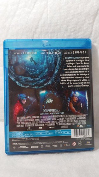 galleryimage 2 zoomed in