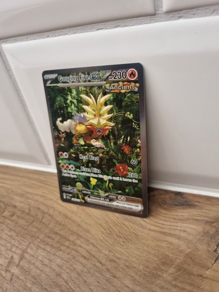 galleryimage 3