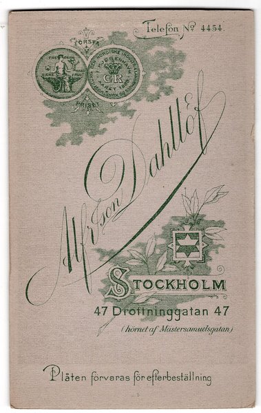 galleryimage 2