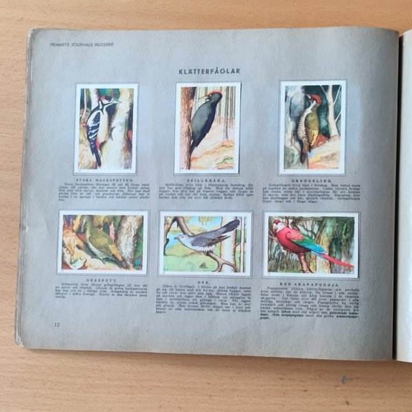 galleryimage 3