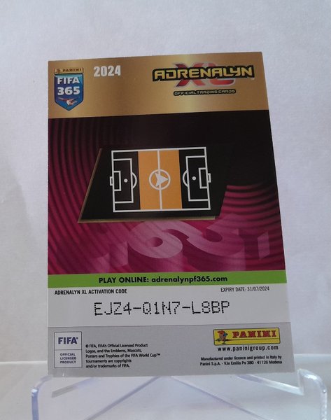 galleryimage 2 zoomed in