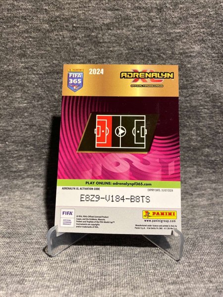 galleryimage 2 zoomed in