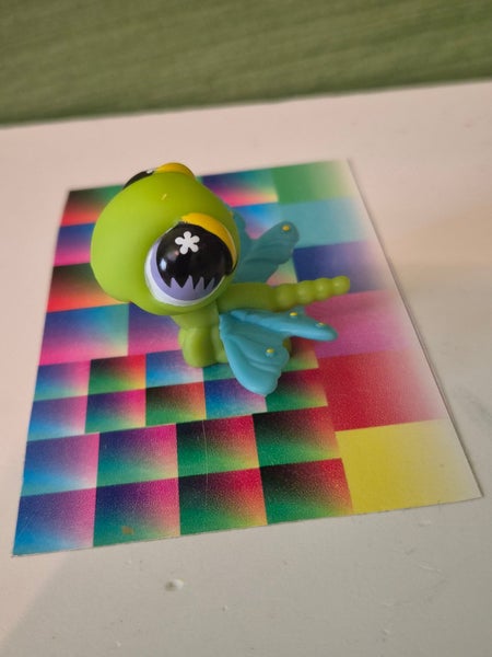 galleryimage 2