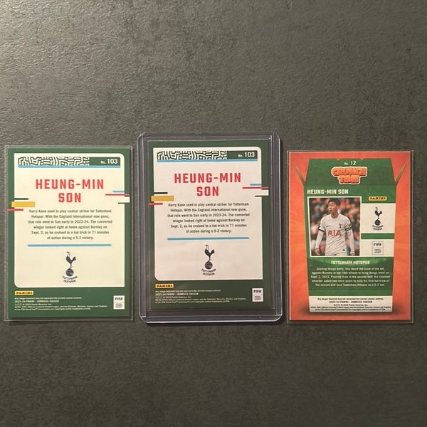 galleryimage 2 zoomed in