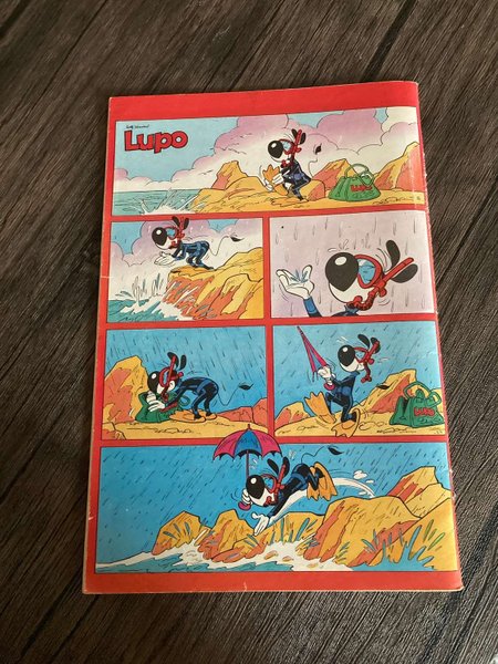 galleryimage 2 zoomed in