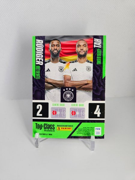 galleryimage 2 zoomed in