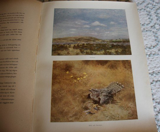 galleryimage 3