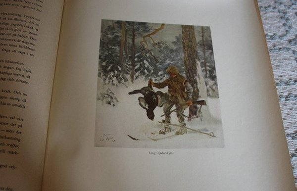 galleryimage 2
