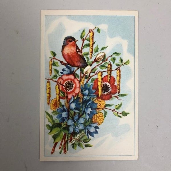 galleryimage 2