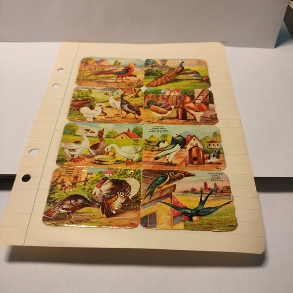 galleryimage 2