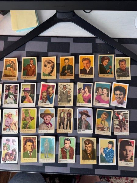 galleryimage 2