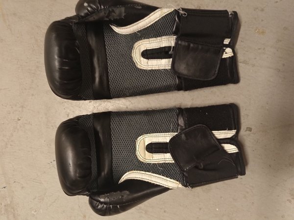 galleryimage 2 zoomed in