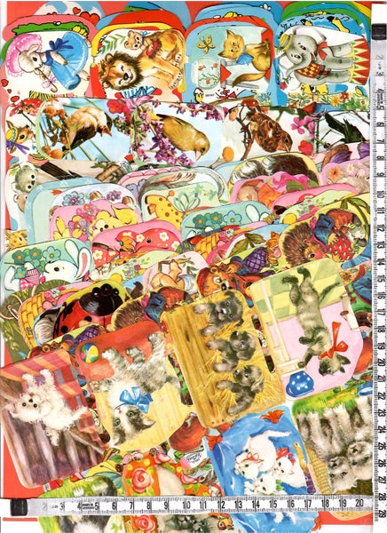galleryimage 2 zoomed in