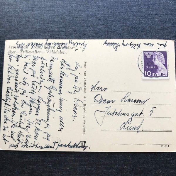 galleryimage 2 zoomed in