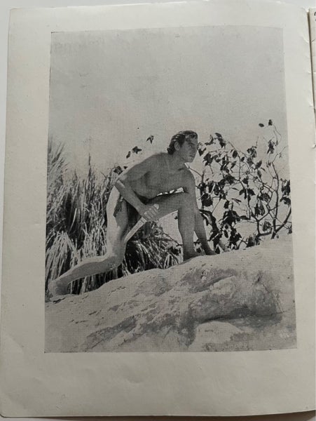 galleryimage 3