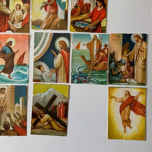 galleryimage 3