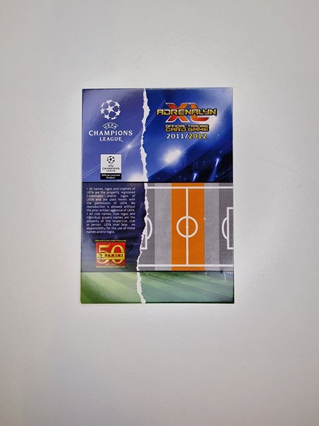 galleryimage 2 zoomed in